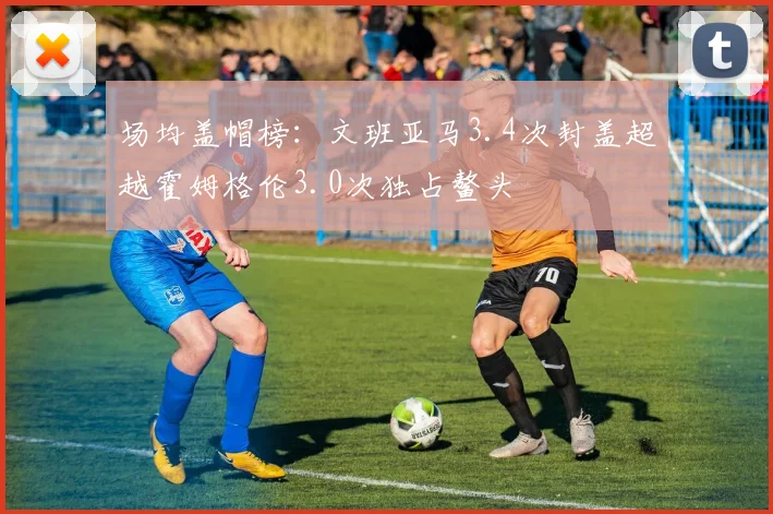 场均盖帽榜:文班亚马3.4次封盖超越霍姆格伦3.0次独占鳌头