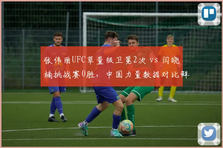 张伟丽UFC草量级卫冕2次 vs 闫晓楠挑战赛0胜，中国力量数据对比鲜明